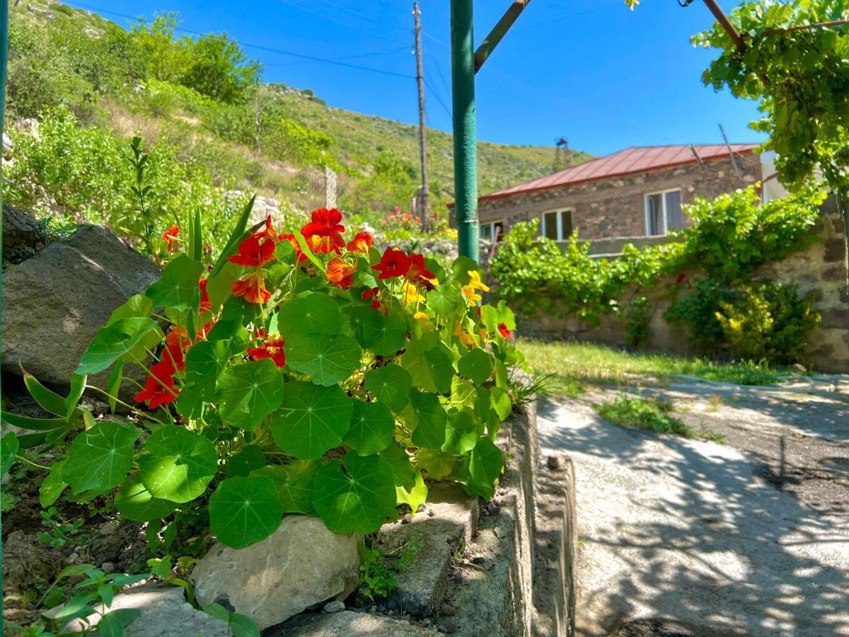 Igor Bed And Breakfast Halidzor Eksteriør bilde