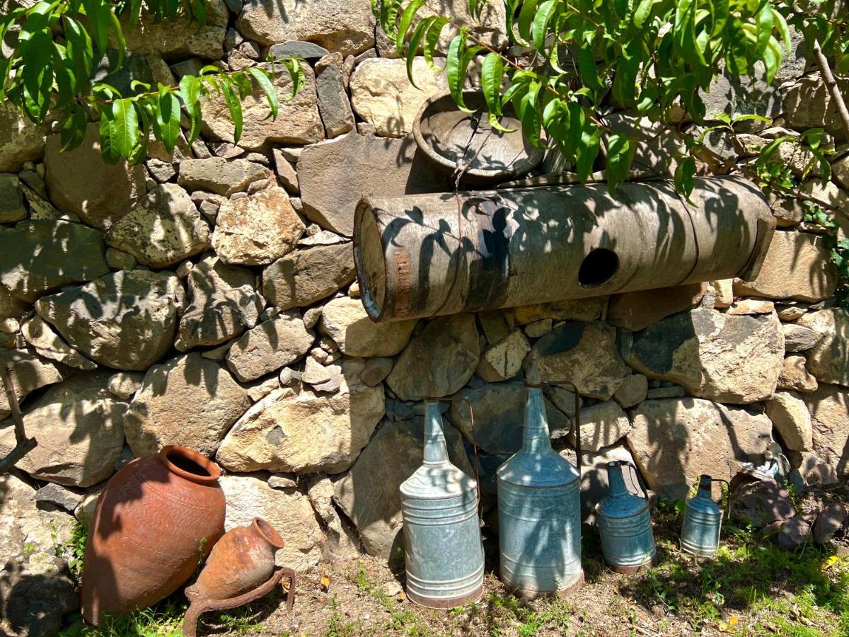 Igor Bed And Breakfast Halidzor Eksteriør bilde
