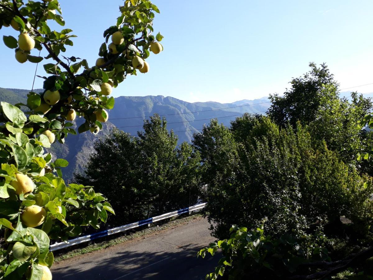 Igor Bed And Breakfast Halidzor Eksteriør bilde